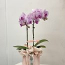 산호동142 이미지