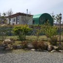 해돋이조경
