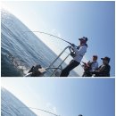 백마농장3 이미지