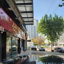 인화반점 이미지