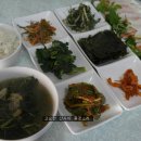 새싹&삼