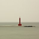 바다생각 이미지