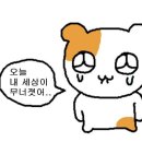 와이아이엔