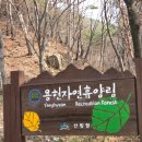 용현자연휴양림 야영장 | 서산가볼만한곳 용현자연휴양림 숙박 후기