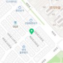 해피애견타운 강아지고양이 분당판교점 이미지