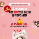 댕댕이라이프 이미지