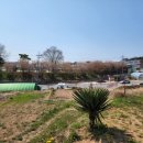 태안향교(태안초) 이미지