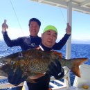 웅이아부지 이미지