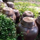 들꽃향기오두막 이미지