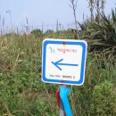 제주아리마찜질방 이미지