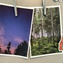 Playlist : Untitled, 여름 이미지