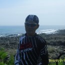 탐라도다 이미지