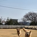 쿨스타스 이미지