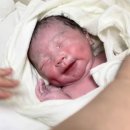 우성한우본가 | 24년 7월 기록 : 출산 전 몸보신 / 막달검사 / 꾹꾹이 탄생 / 남양 근사한 답례품