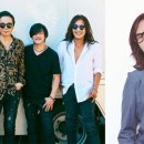 콘서트 레전드 락 콘서트 뉴스프리존