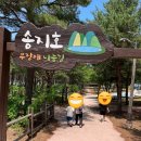 송지호 오토캠핑장 이미지