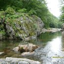 성심할인마트 이미지