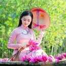 국제 VISA 행정사 사무소 이미지