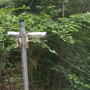 홀뫼농장 이미지