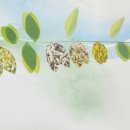 경희광교호수한의원 이미지