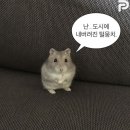 뚝섬한강공원-27 이미지
