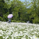 노루목길2 티스토리