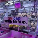 괴정인형뽑기