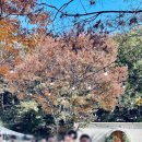 웨딩스위치 이미지