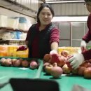 명성3농장 이미지