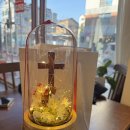 꽃사세요 꽃 | [수원 신동] 들어서자마자 힐링! 🌿 꽃내음 가득한 감성 꽃집 '소담꽃향'에서 '시들지 않는 꽃' 선물한 후기