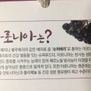 옛찬