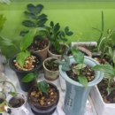 우풍농장 이미지