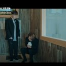 펫바라기 이미지