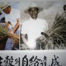 대한민족 이미지