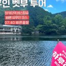 금상투어