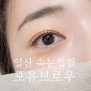 포유 | 일산속눈썹 포유브로우 후기 눈매 맞춤 컬링