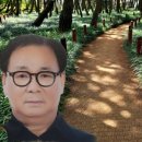 걷다보면 이미지
