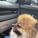 바다배 펜션 이미지