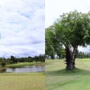 에버그린골프클럽 이미지