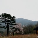 건봉사가는길 이미지