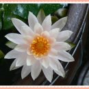 (주)한주약품 이미지