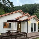 편백스테이 이미지