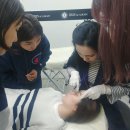 아이리스 아카데미 이미지