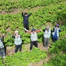 인제12-3 이미지