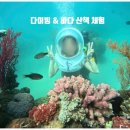 바다산책 이미지