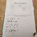 호텔 스타루비 | 인천 계양구 홈케어 고양이 펫시터 방문후기 with 하이랜드폴드 치치&amp;루비
