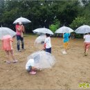 자연과아이들 이미지