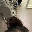 참빛미용실 | [웰킨두피탈모센터 하남미사점] : 미사두피관리 / 두피케어 전문샵 _ 파워 스케일링 첫 후기 강력추천!!