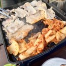 도그베이 | [안성 반려견 수영장] 취사 가능한 대형 강아지 수영장 '원더풀도그베이' 내돈내산 방문 후기