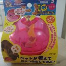 아이큐25시 이미지